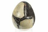 Septarian Dragon Egg Geode - Black Crystals #234988-1